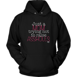 Just A Mom Trying Not To Raise Assholes Hoodie - Audio Swag