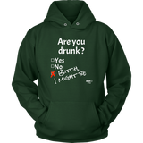 Are You Drunk Hoodie - Audio Swag