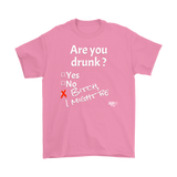 Are You Drunk Mens T-shirt - Audio Swag